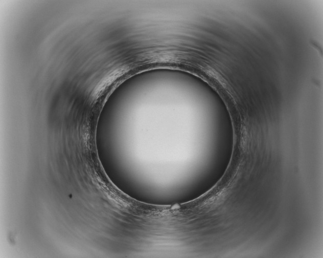 X0000101180922200807071241