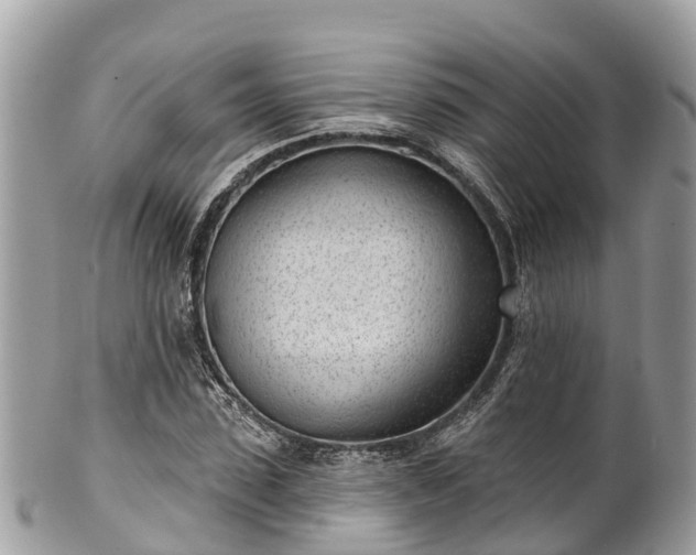 X0000101180923200807071241