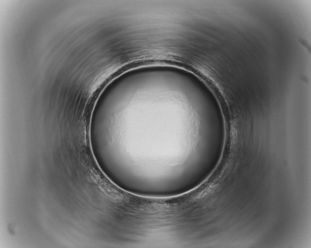X0000101180925200807071241