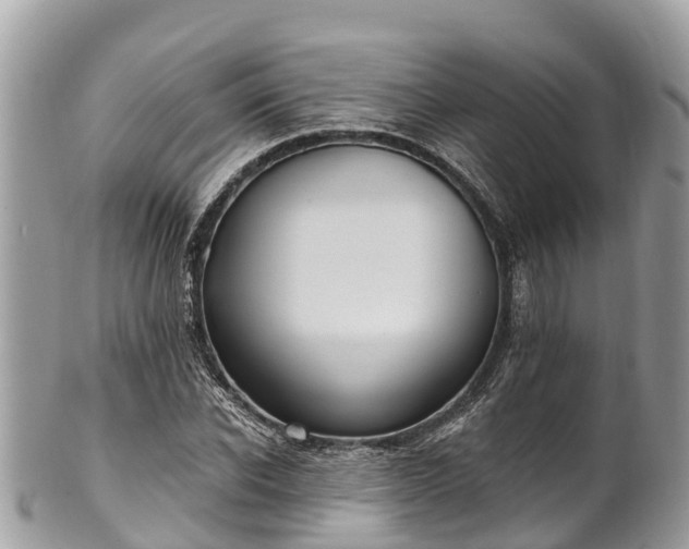 X0000101180926200807071241