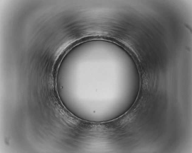 X0000101180927200807071241