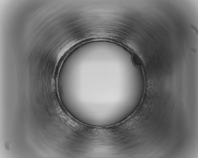 X0000101180928200807071241