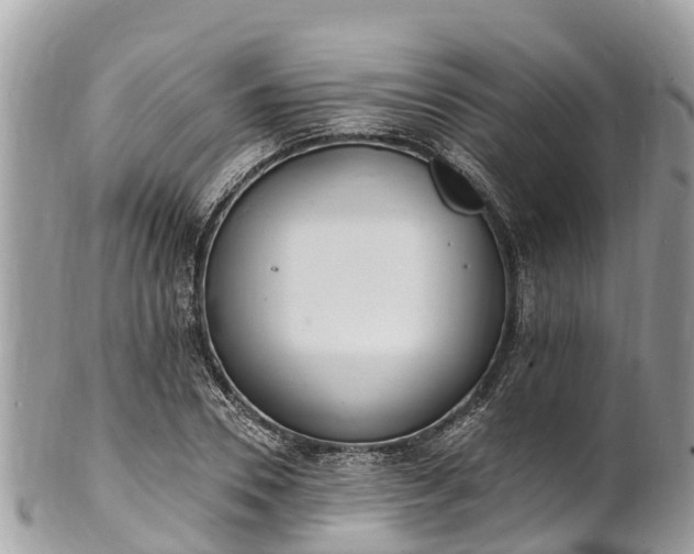 X0000101180930200807071241
