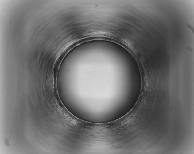 X0000101180931200807071241