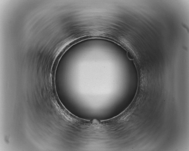X0000101180932200807071241