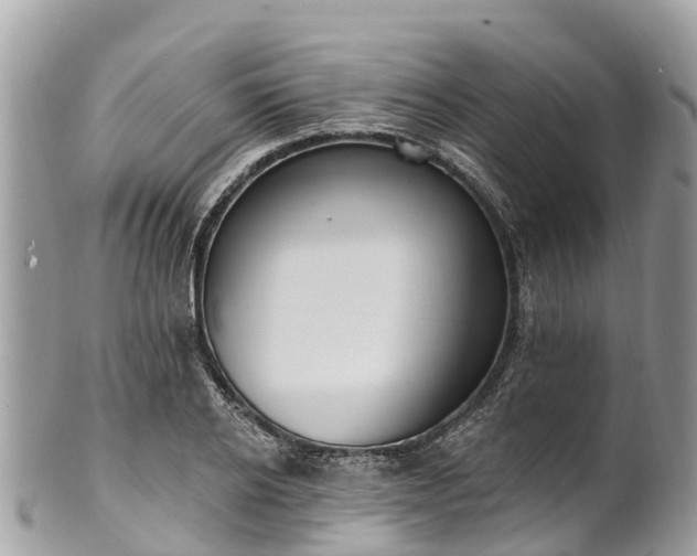 X0000101180934200807071241