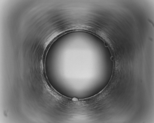 X0000101180936200807071242