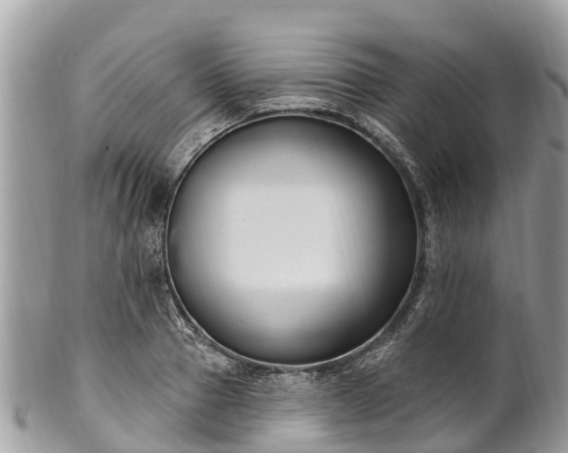 X0000101180937200807071242