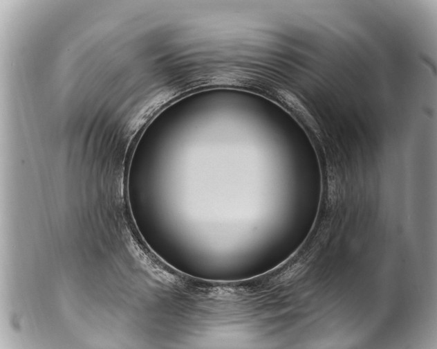 X0000101180938200807071242