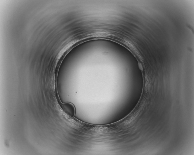 X0000101180939200807071242