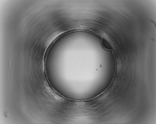 X0000101180940200807071242
