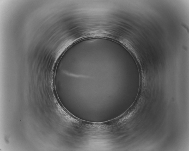 X0000101180941200807071242