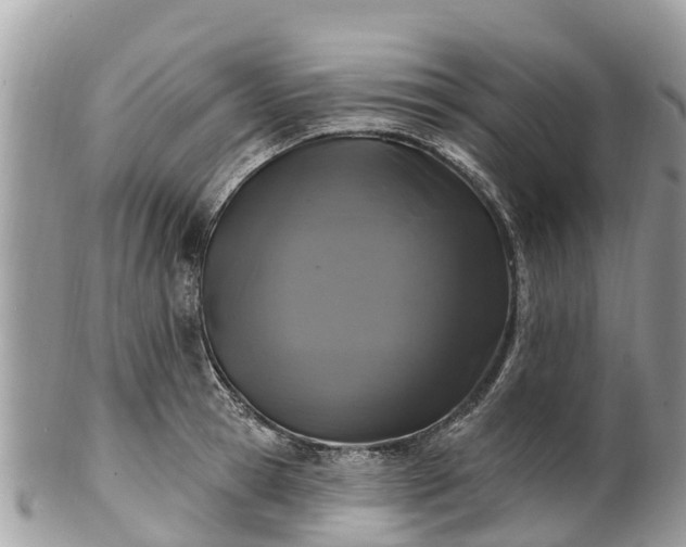 X0000101180945200807071242