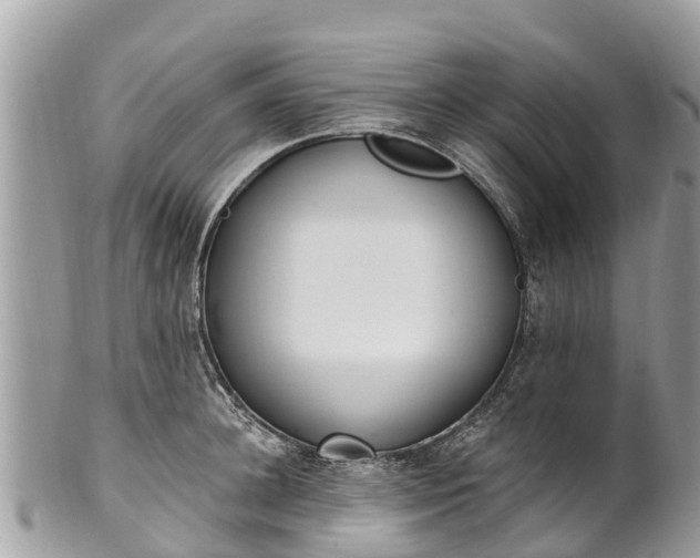 X0000101180948200807071242