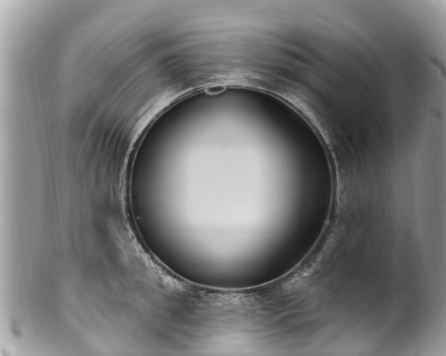 X0000101180949200807071242