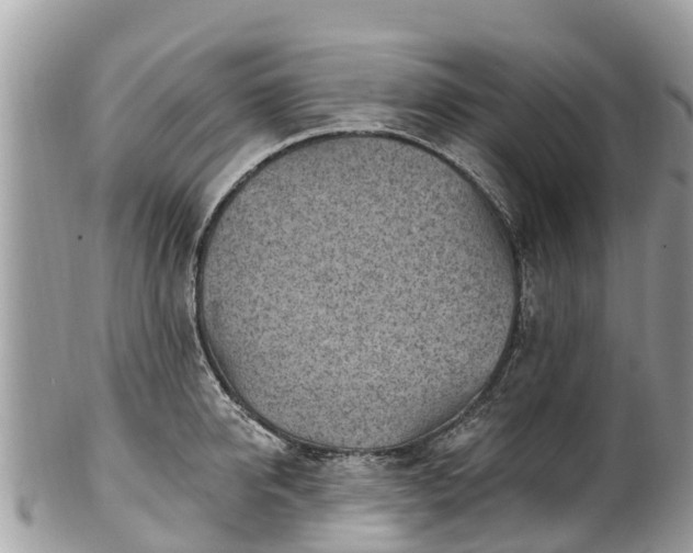 X0000101180950200807071242