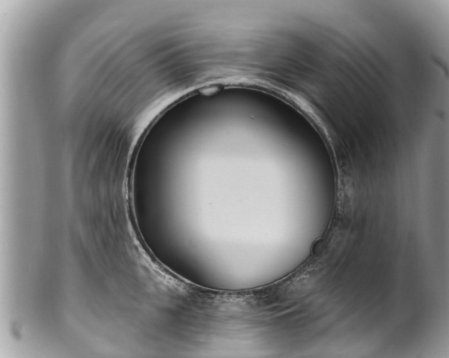 X0000101180951200807071242