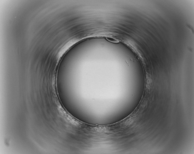 X0000101180952200807071242