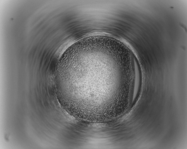 X0000101180953200807071242