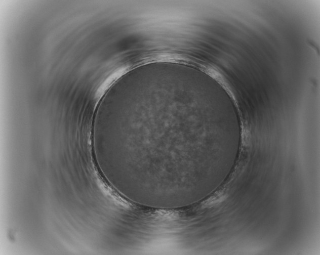 X0000101180954200807071242