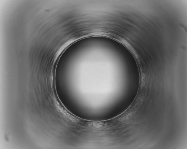 X0000101180955200807071242