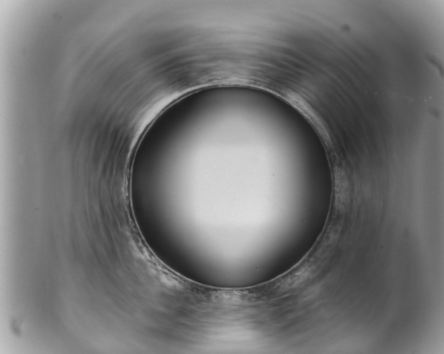 X0000101180956200807071242