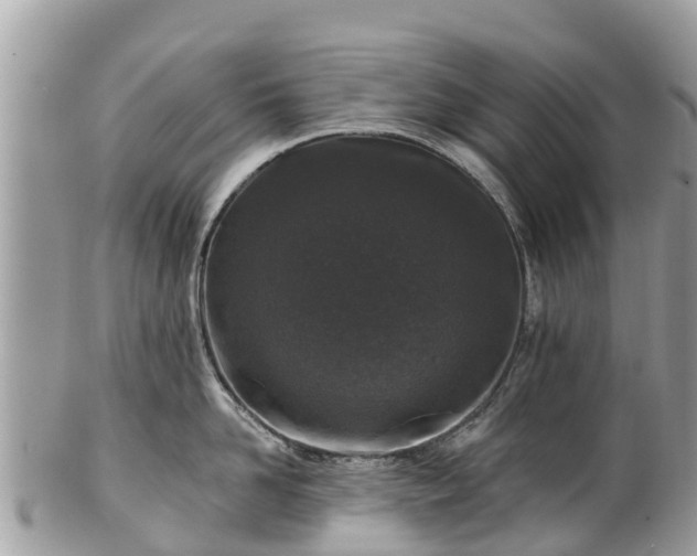 X0000101180958200807071242
