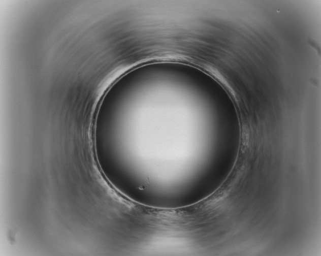 X0000101180959200807071242