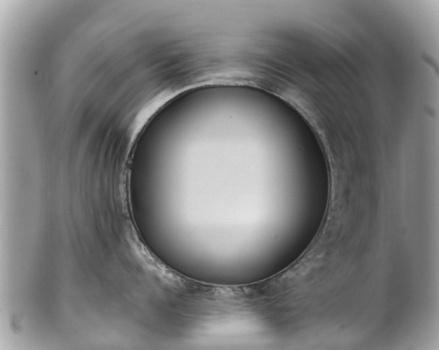 X0000101180960200807071242