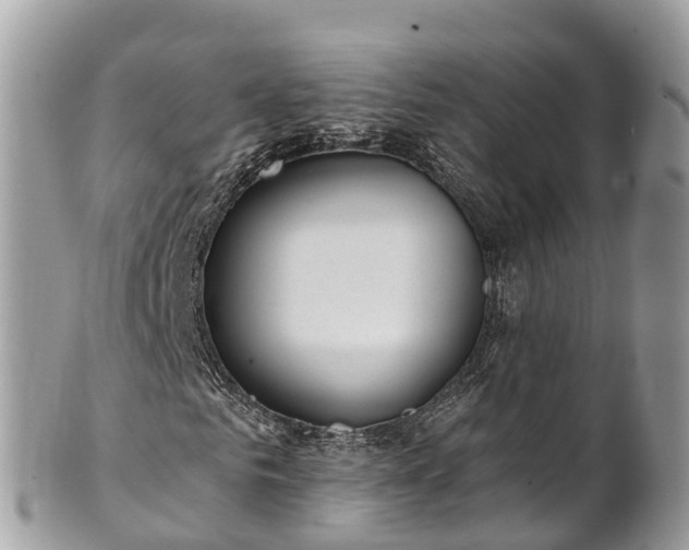 X0000101180961200807071241