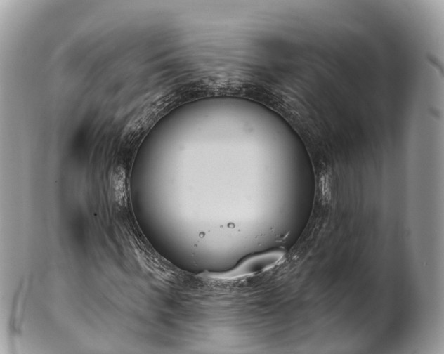 X0000101180963200807071241