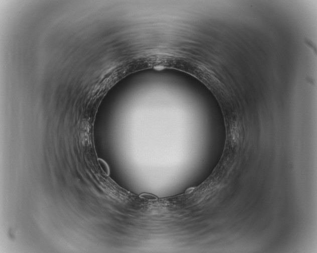 X0000101180964200807071241
