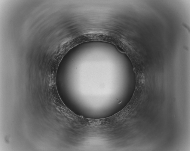 X0000101180965200807071241