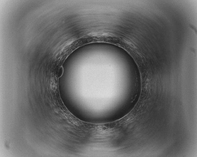 X0000101180966200807071241