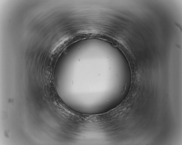 X0000101180967200807071241