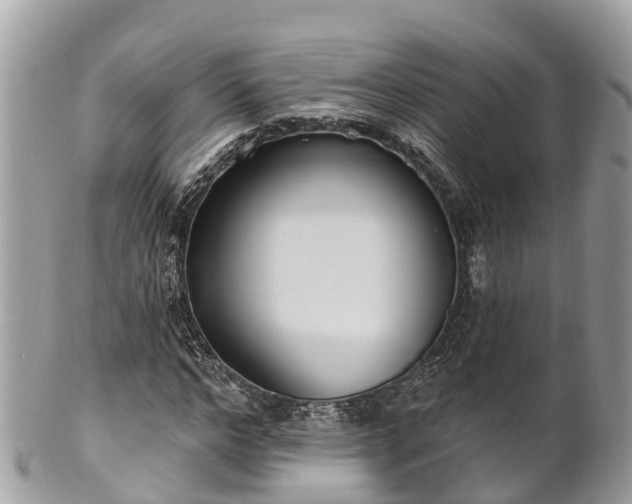 X0000101180968200807071241