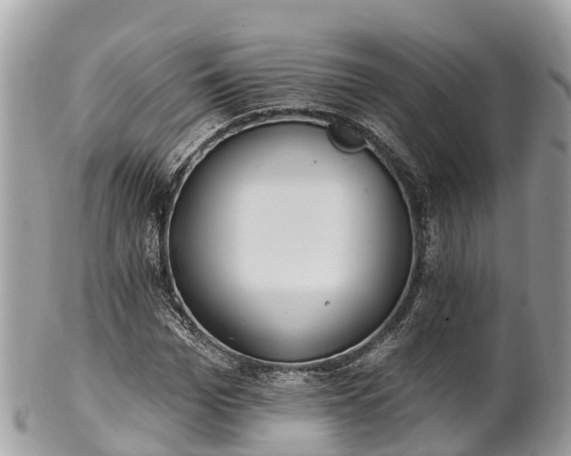X0000101180969200807071241