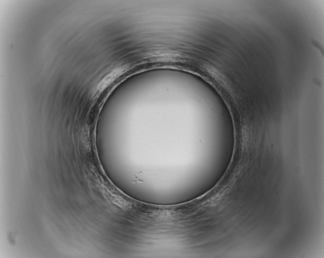 X0000101180970200807071241