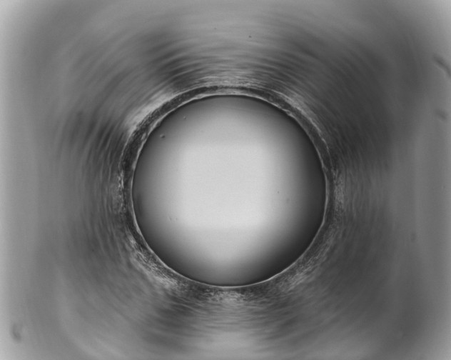 X0000101180971200807071241
