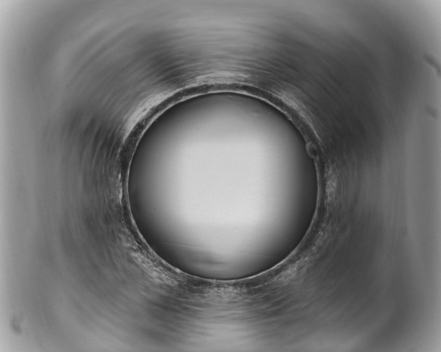 X0000101180973200807071241