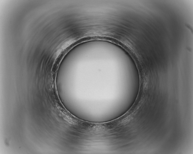X0000101180974200807071241