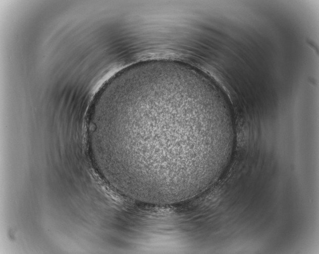 X0000101180975200807071241