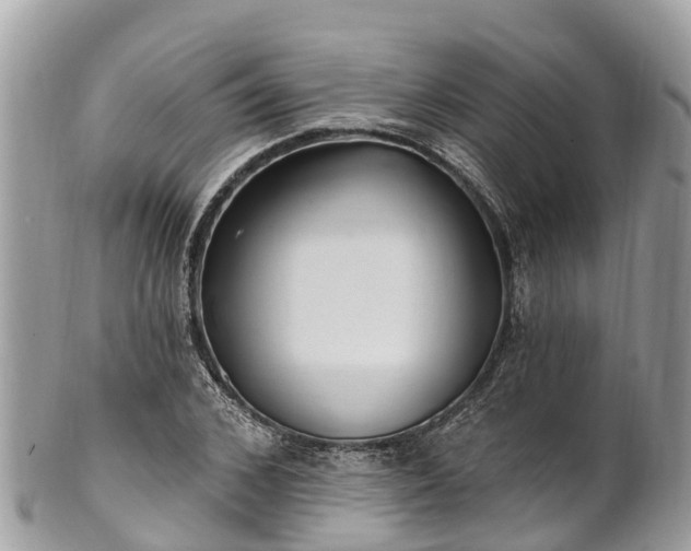 X0000101180976200807071241