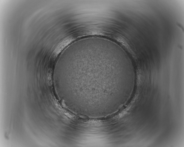 X0000101180977200807071241