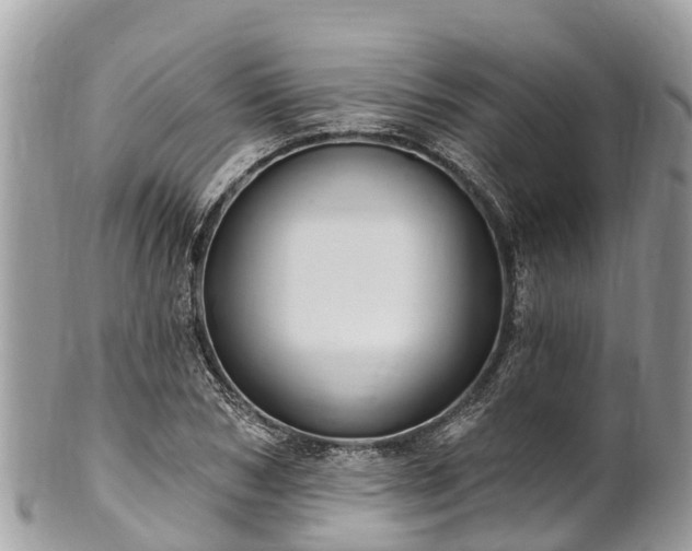 X0000101180978200807071241