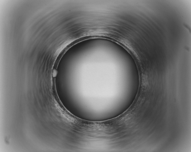 X0000101180980200807071241