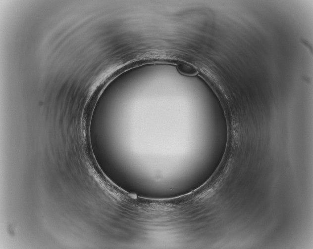 X0000101180981200807071241