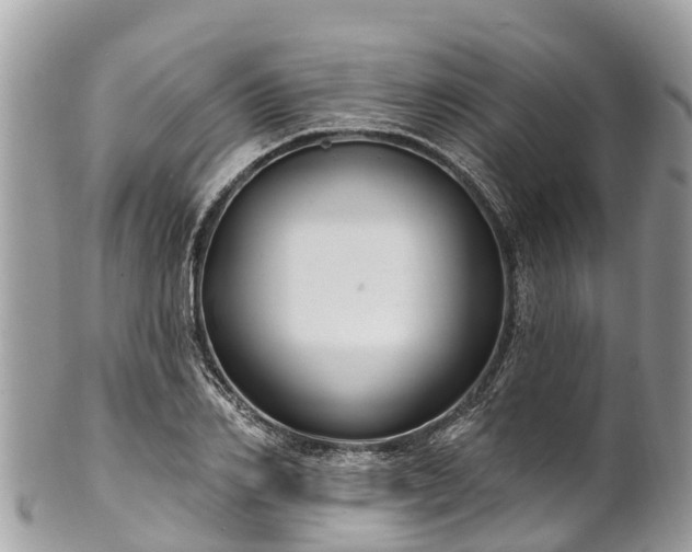 X0000101180982200807071241