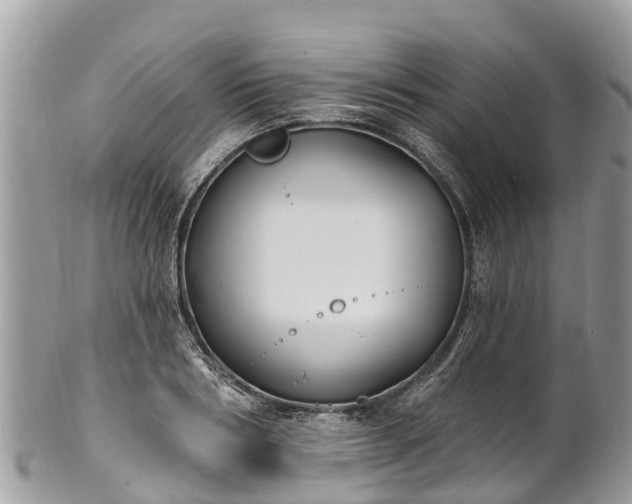 X0000101180986200807071241