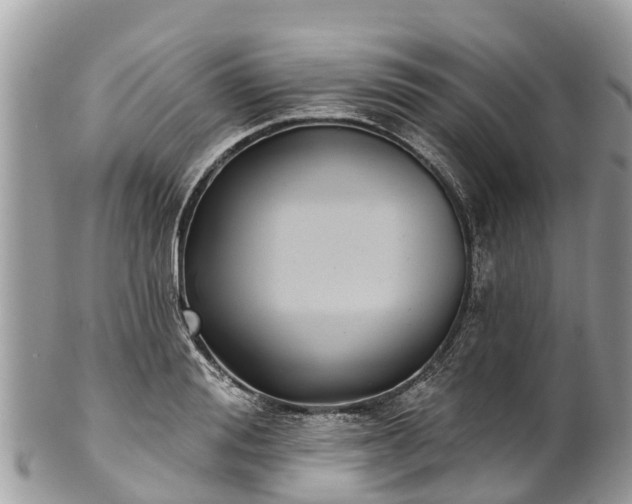 X0000101180988200807071241